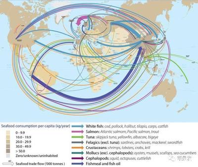 2018年中國(guó)海鮮進(jìn)口激增44%,中國(guó)市場(chǎng)前景引全球矚目