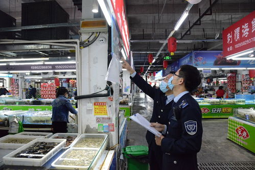 “守夜人”護民生 武清區市場監管局開展五一節前農貿市場集中夜查行動
